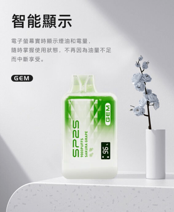 SP2S GEM 9000口拋棄式電子煙｜12ml智能顯示屏 Type-C快充